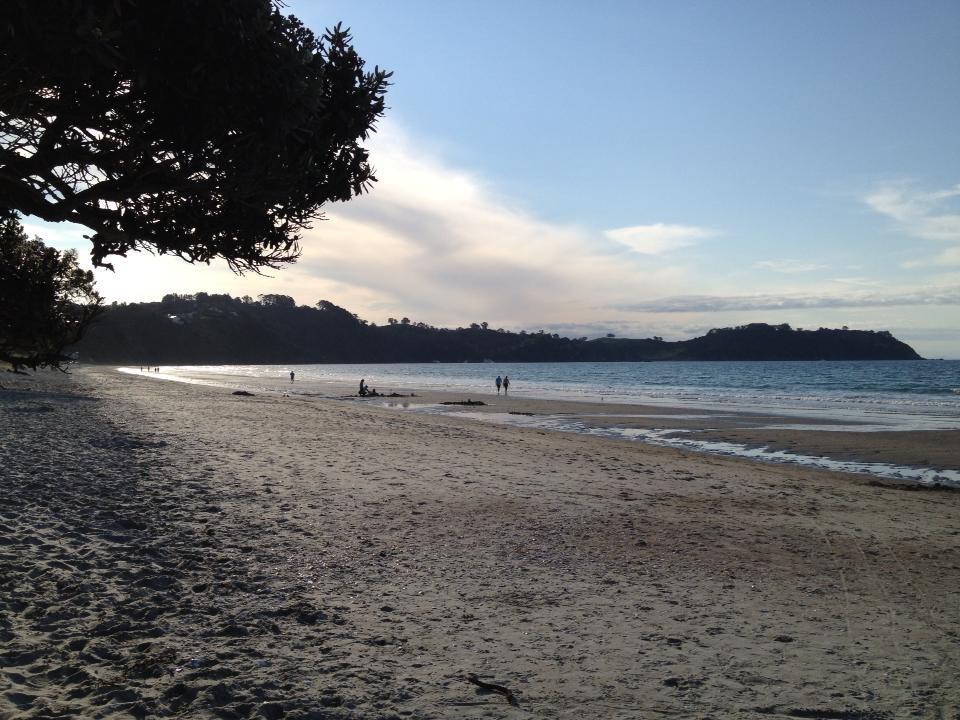 2013 economic survey and New Zealand Immigration Auckland And Immigration Lawyers